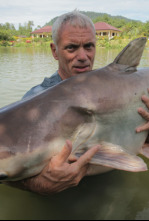 Monstruos de río: Tiburón de agua dulce