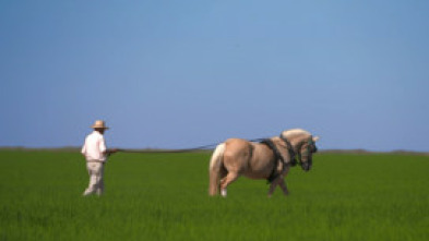 Imagen de Al sur del tiempo - 5