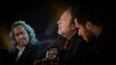 Imagen de Foro flamenco - 5