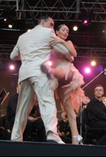 Imagen de Noche de Tango desde Buenos Aires - 4