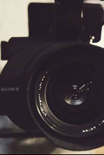 Imagen de Quina animalada! (T1): Fotografia bestial - 4