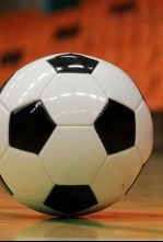 Imagen de Mundial de fútbol sala F - 4