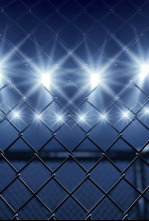 Imagen de ONE Championship:... (2025): PTT Apichart Farm vs Elies Abdelali - 4