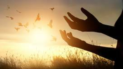 Imagen de Se buscan rebeldes - 5