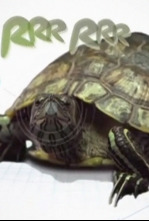 Imagen de Animalia - 4
