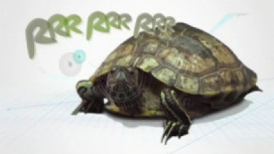 Imagen de Animalia - 5