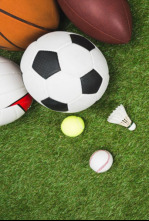 Imagen de Deportes ocasionales - 4