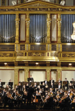 Imagen de Bruckner - Sinfonía n.º 9 - 4