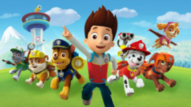 Imagen de La patrulla canina Single Story (T7) - 5