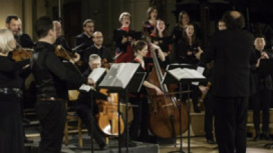 Imagen de In Tempus Adventus - Bach, Zelenka y Telemann - 5