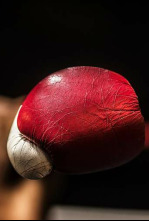 Imagen de Boxeo: combate Floyd Patterson vs Ingemar Johansson - 4