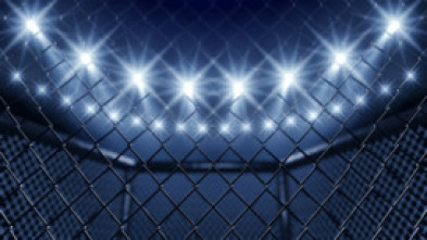 Imagen de UFC 245: Usman vs Covington (2019) - 5