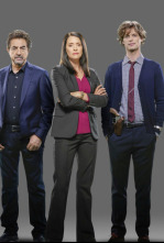 Mentes criminales (T12): Ep.11 Tensión superficial