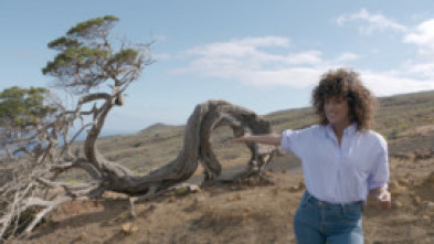 Imagen de Viajeros Cuatro: Navarra - 6