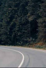 Imagen de UCI Pro Series (2025): Copa Bernocchi - 5