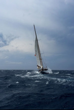 Imagen de Sailing World - 4
