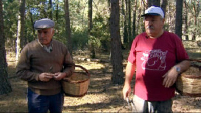 Imagen de Cazadores de setas - 2