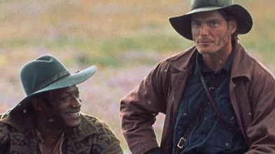 Imagen de Zorro negro - 3
