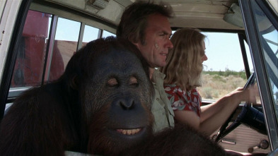 Imagen de La gran pelea - 3