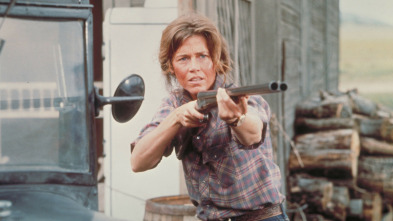 Imagen de Llega un jinete libre y salvaje - 3