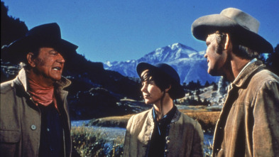 Imagen de Valor de ley - 3