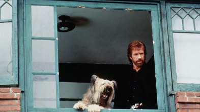 Imagen de Top Dog: El perro sargento - 3