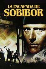 Imagen de La escapada de Sobibor - 2