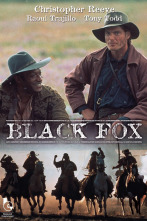 Imagen de Zorro negro - 2