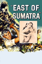 Imagen de Al este de Sumatra - 2