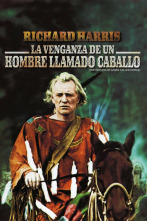 Imagen de La venganza de un hombre llamado Caballo - 2