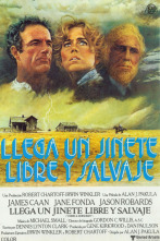 Imagen de Llega un jinete libre y salvaje - 2