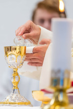 Imagen de Santa Misa de beatificación de los 124 mártires del siglo XX (Jaén) - 2