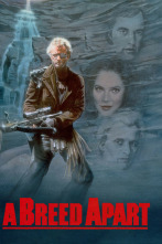 Imagen de En busca del águila - 2