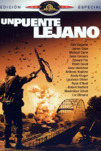 Imagen de Un puente lejano - 2