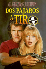 Imagen de Dos pájaros a tiro - 2