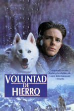 Imagen de Voluntad de hierro - 2