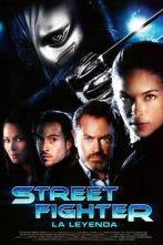 Imagen de Street Fighter: La leyenda - 2