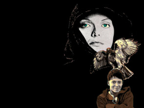 Imagen de Lady Halcón - 1
