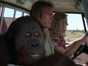 Imagen de La gran pelea - 1