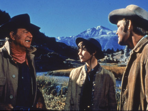 Imagen de Valor de ley - 1