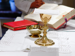 Imagen de Santa Misa Centenario de la refundación de La Orden San Jeronimo - 1