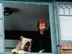 Imagen de Top Dog: El perro sargento - 1