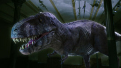 Redescubriendo el T-Rex