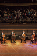 Imagen de Los 12 violonchelistas de la Filarmónica de Berlín - 4