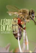 Imagen de L'écologie en action - 4