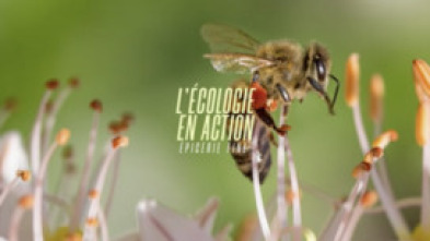 Imagen de L'écologie en action - 5