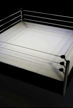 Imagen de UFC Fight Night: Garcia vs Onama (2025) - 4