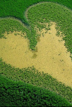 Vist des del cel: La Terra no pertany a l'home sinó que és l'home qui pertany a la Terra (2ª part)