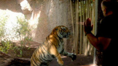 Imagen de Crónicas del zoo (T1): Ep.3  - 5