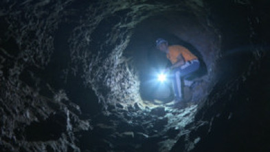 Imagen de Naturaleza viva - 5